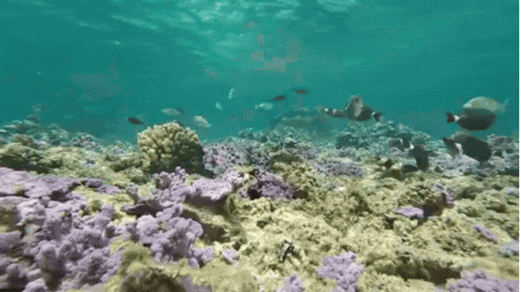 Mining the Deep